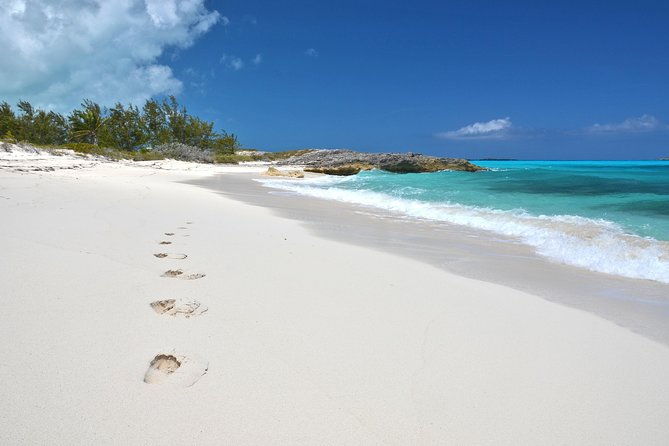 8-hours-38ft-reel-dreams-private-charter-nassau