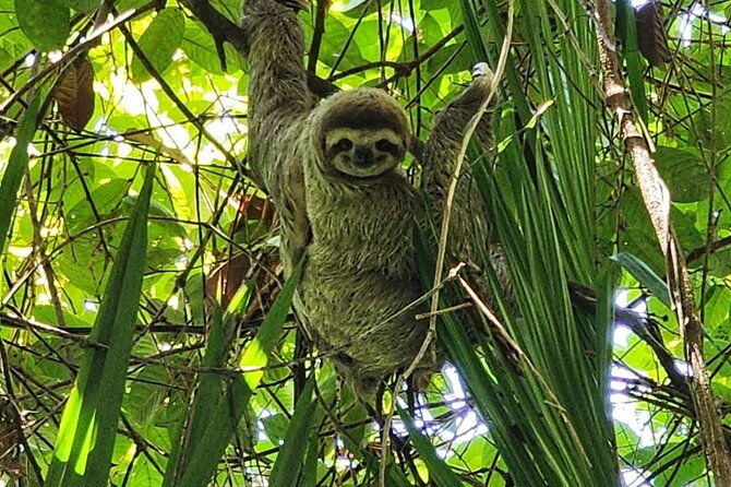 adventure-in-manuel-antonio-beach-park-day-tour-from-san-jose