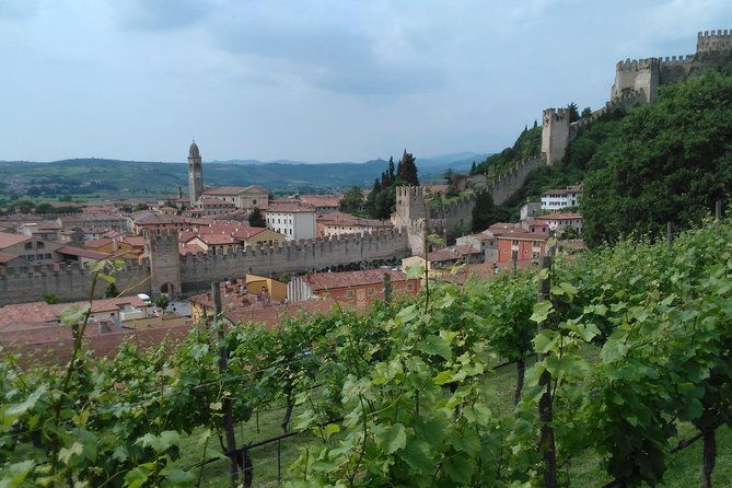 amarone-soave-wine-tour-visit-verona-from-venice-2