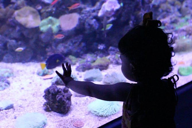 aquario-small-group-guided-tour-with-entrance-and-transfer