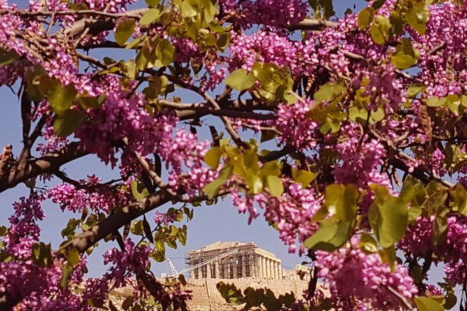 athens-to-nafplio-private-transfer