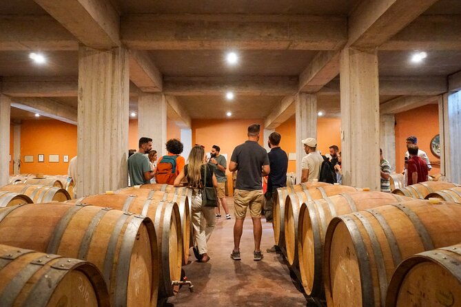 athens-to-nemea-wine-experience-tour