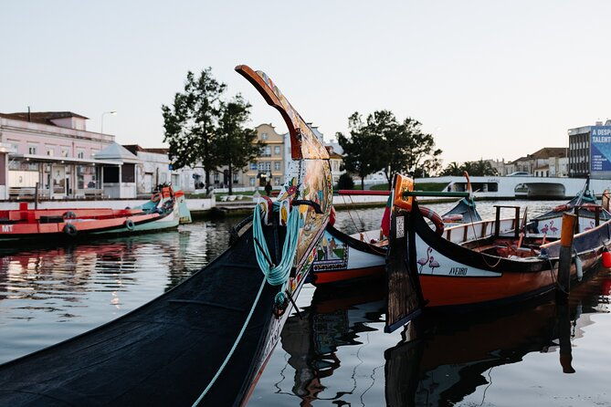 aveiro-with-cruise-costa-nova-and-chapel-of-the-lord-of-the-stone-2