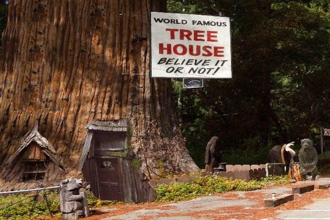 Avenue of the Giants Redwoods Private 2-Day Tour +1 Night Hotel