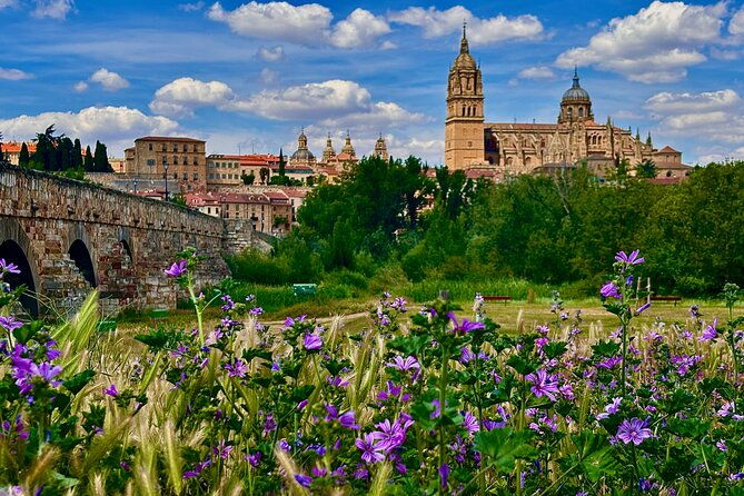 avila-and-salamanca-a-day-between-history-and-walls-from-madrid