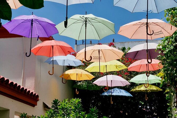 ba-flavors-private-food-tour-in-san-telmo