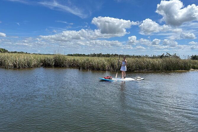 Backland Alligator Electric Paddle Tour