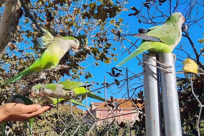 barcelona-bike-tour-with-french-guide-20-%d1%82op-bike-ebike