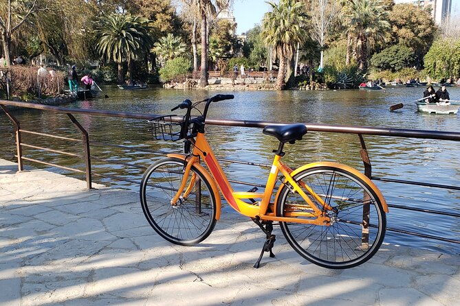 barcelona-city-highlights-bike-tour-with-e-bike-option