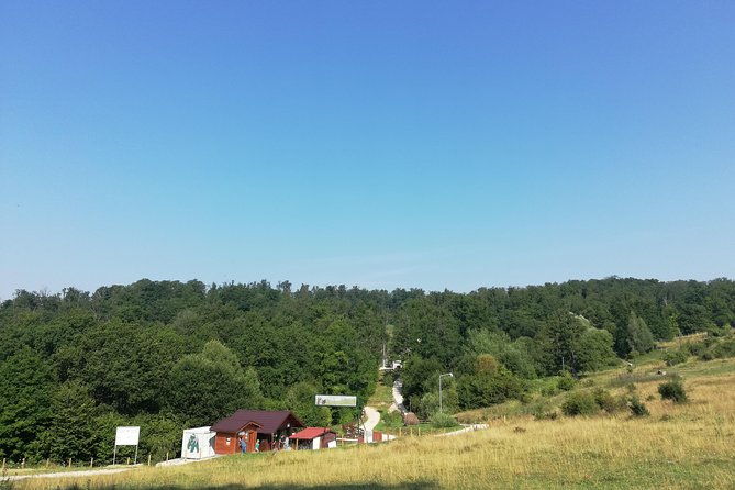 bear-sanctuary-and-draculas-castle-1-day-private-tour