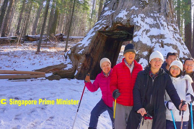 Best 1-Day Yosemite National Park Private Tour From San Francisco