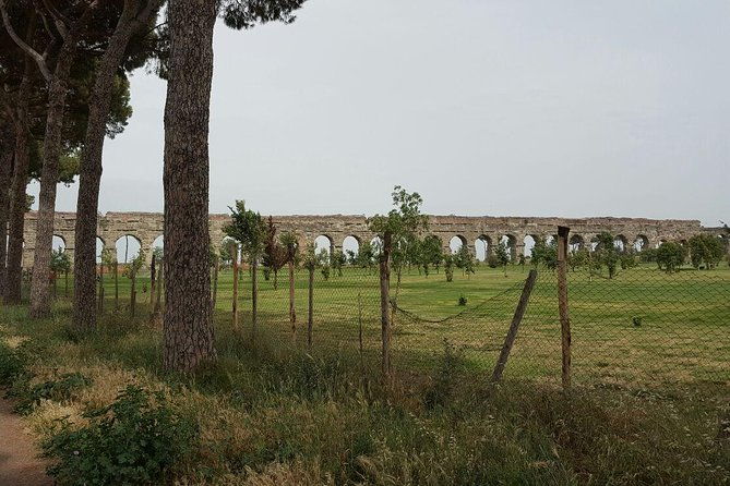 best-of-rome-vatican-skip-the-line-private-tour