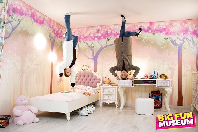 big-fun-museum-ticket