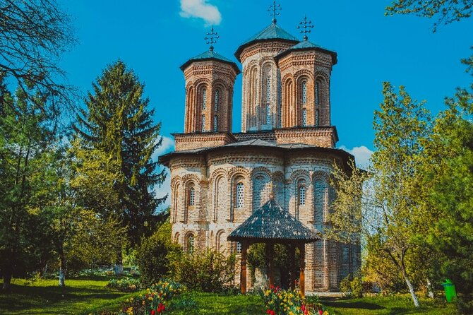 bison-sanctuary-vlad-the-impaler-princely-court-dracula-grave