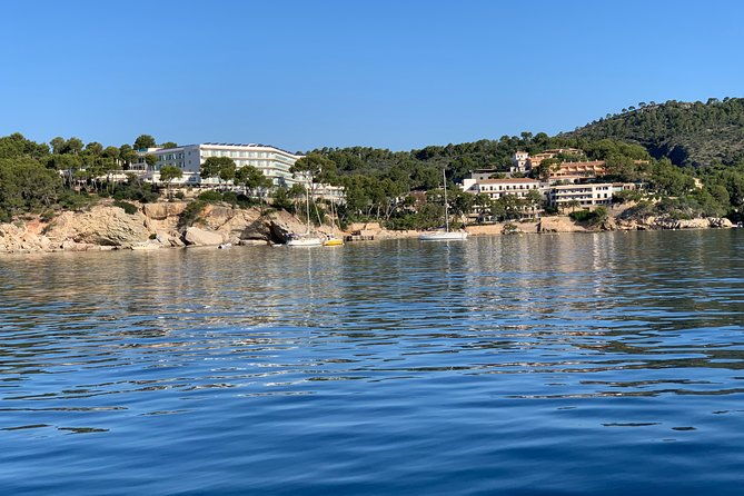 bluemarine-me-license-free-bayliner-element-e5-rental-2