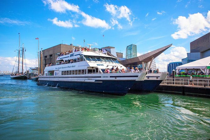 Boston Whale Watching Cruise by High-Speed Catamaran