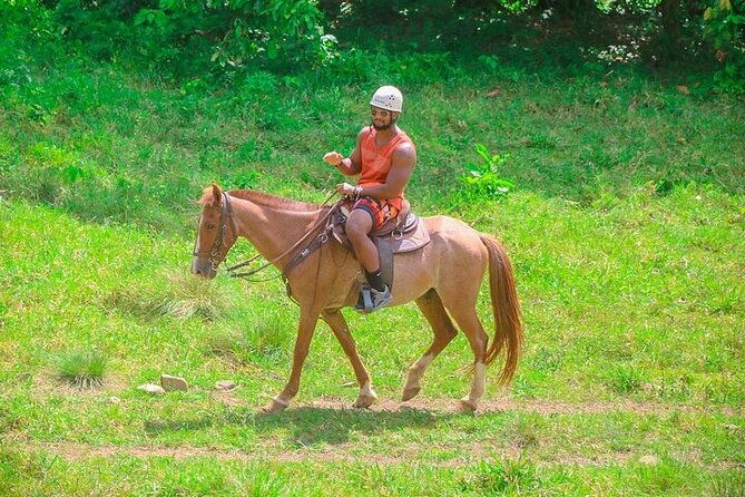 buggy-horse-and-zip-line-with-lunch-included-from-punta-cana