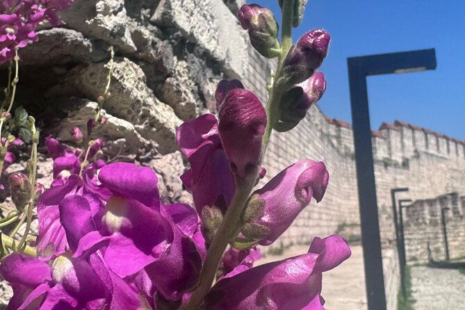 byzantion-walk-way-and-city-walls-in-istanbul-3