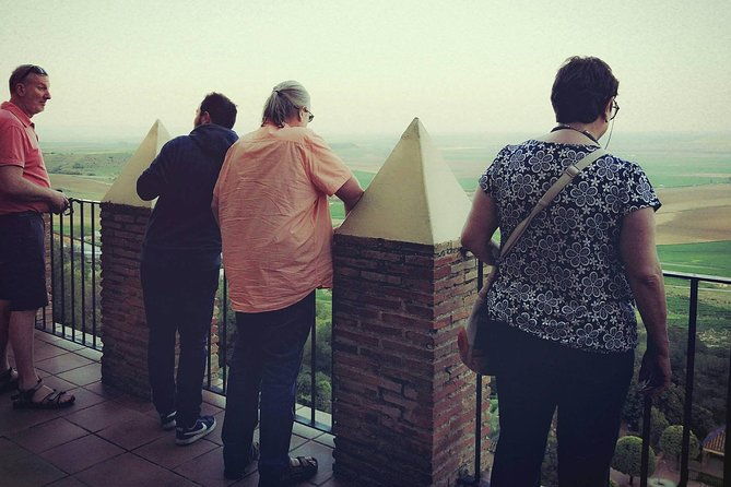 carmona-and-necropolis-guided-day-tour-from-seville-2