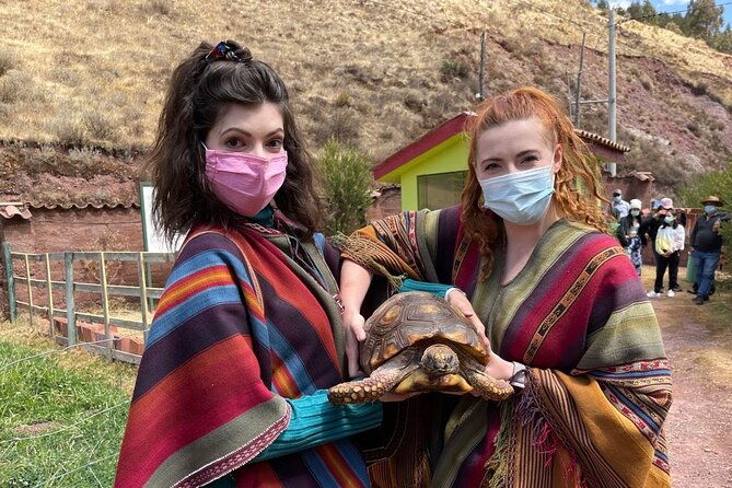 carriage-to-sanctuary-live-a-great-experience