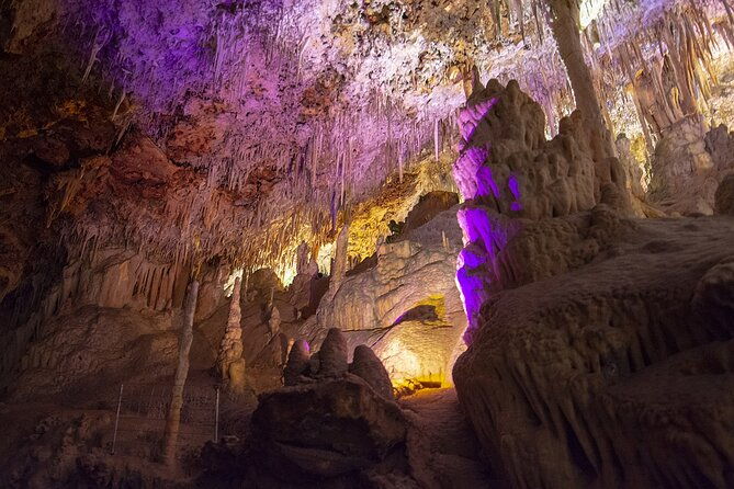 caves-drach-boat-trip-from-alcudia-with-return-bus-and-tickets