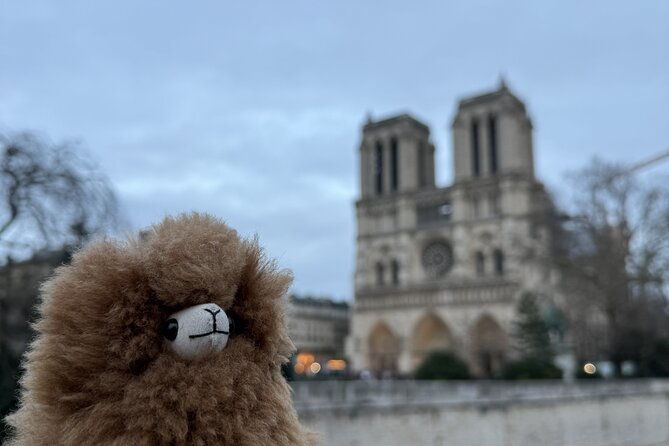 central-paris-private-guided-walking-tour-with-notre-dame-visit