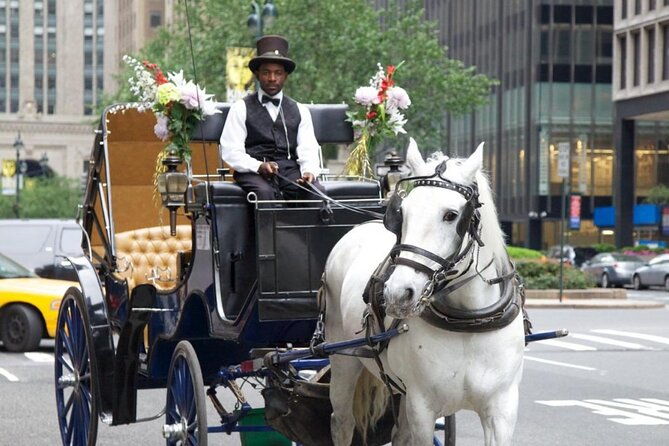 central-park-and-nyc-horse-carriage-ride