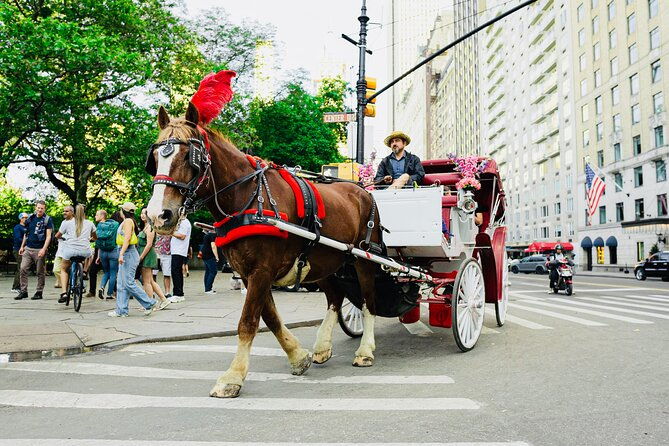 central-park-horse-and-carriage-rides-2