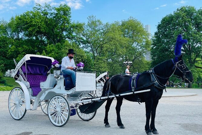 central-park-horse-and-carriage-rides