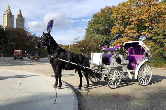 central-park-horse-carriage-rides-since-2005