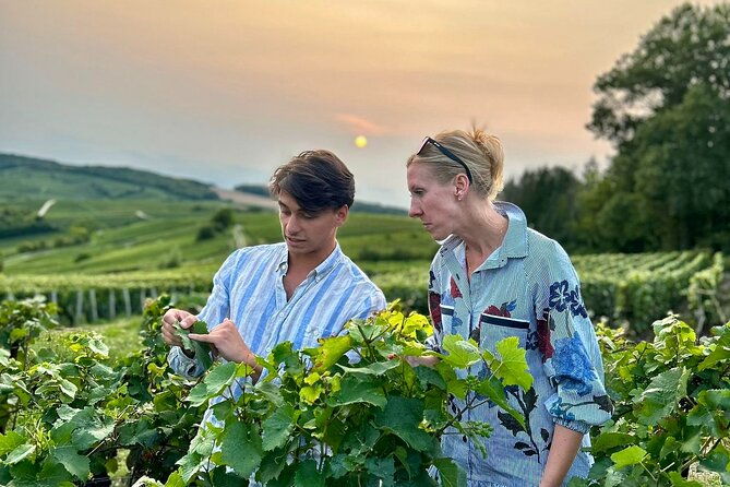 champagne-private-vip-wine-day-trip-with-michelin-lunch-3