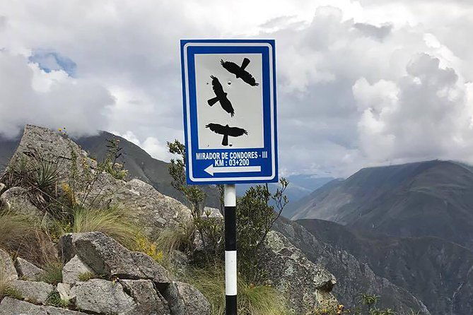 condor-tour-from-cusco-1-day