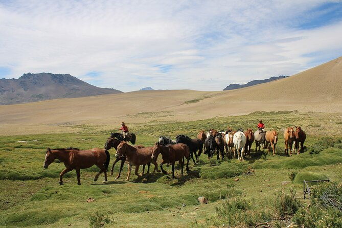 crossing-the-andes-on-horseback-in-a-5-day-tour