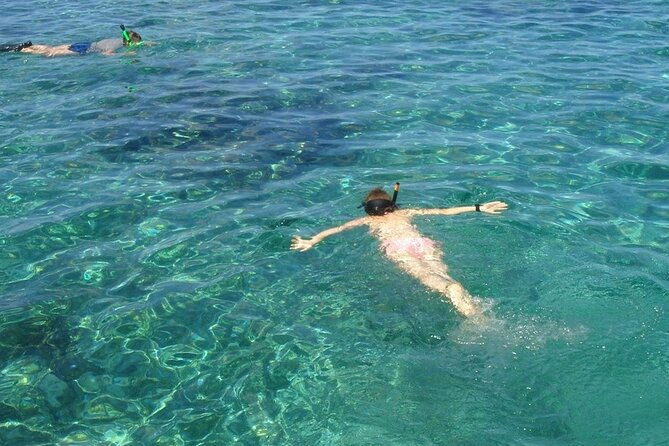 cruise-ship-shore-excursions-for-any-cruise-lines