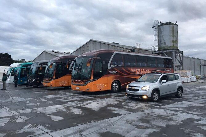 cruise-shore-excursion-osorno-volcano-petrohue-waterfalls