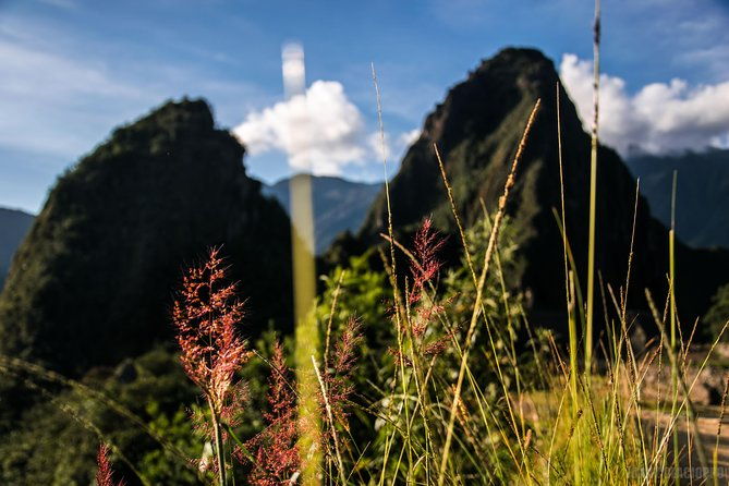 day-trip-to-machu-picchu-by-train-2