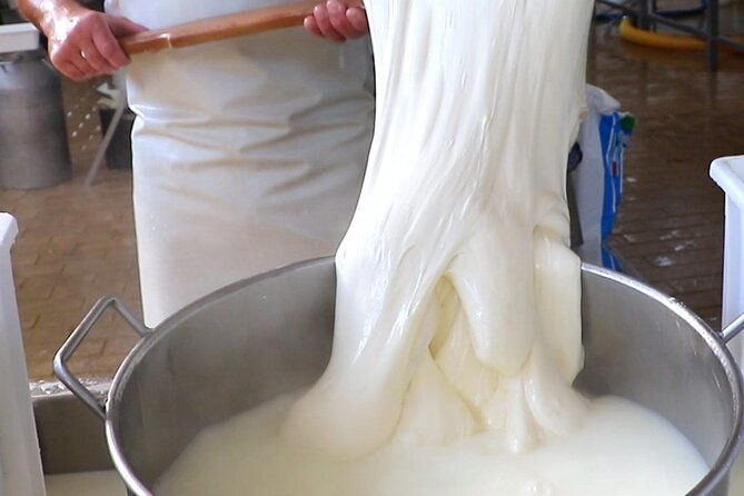 deluxe-experience-mozzarella-oil-and-wine-tasting-on-the-amalfi-coast