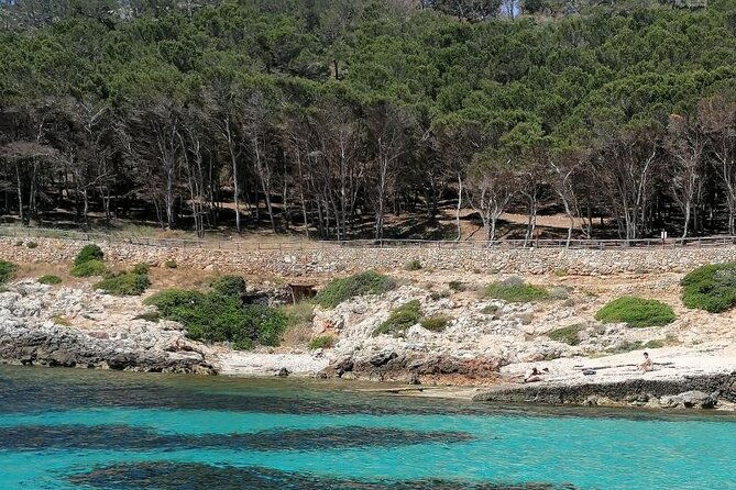 dinghy-excursion-to-the-egadi-islands-with-tasting-on-board