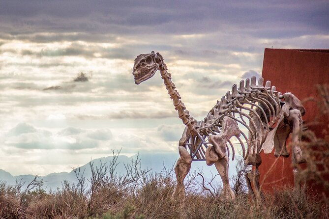 discovering-talampaya-and-valley-of-the-moon-from-la-rioja