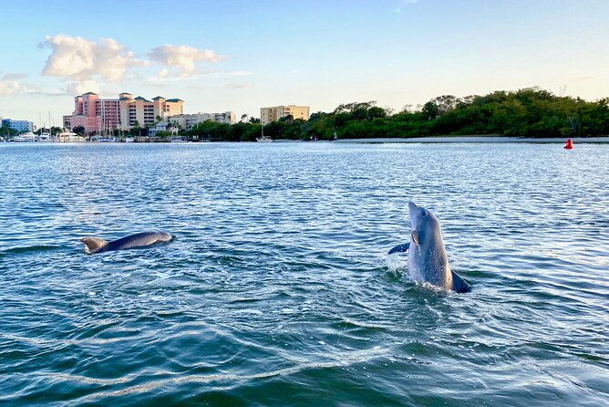 Dolphin Tiki Cruise Around Fort Myers Beach