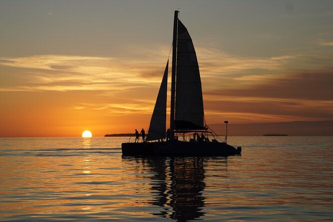 Dolphin Watch + Sunset Sail With Honest Eco