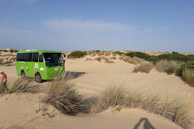 donana-national-park-in-4x4-and-el-rocio-2