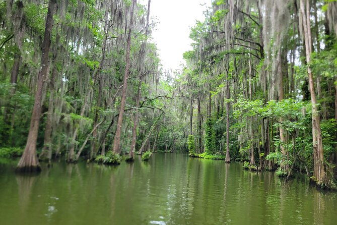 Dora Canal Half-Day Kayak and Paddle Board Rental Adventure