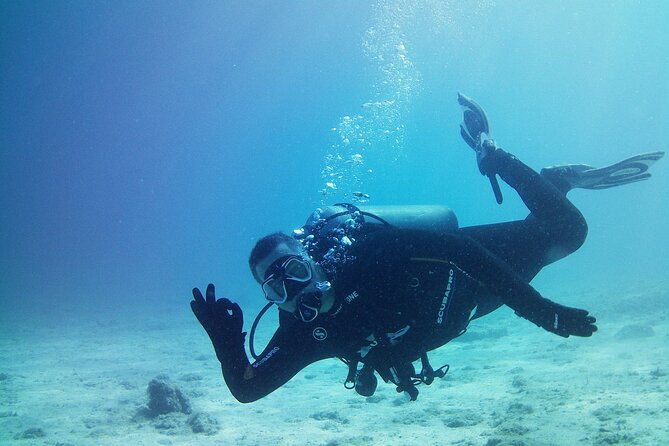 double-shore-dive-certified-divers