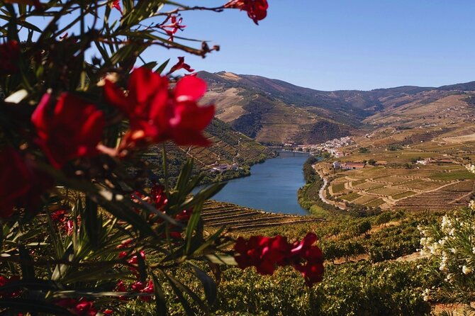 douro-three-winery-small-group-tour-with-lunch-and-tastings