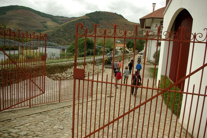 douro-valley-from-casal-de-loivos-to-pinhao-walk-and-wine-tour-2