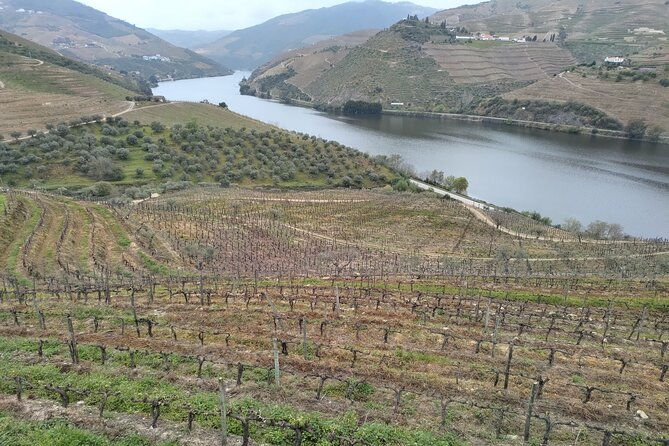 douro-valley-full-experience-with-limited-small-group