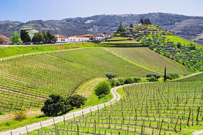 douro-valley-private-day-tour-from-porto-2