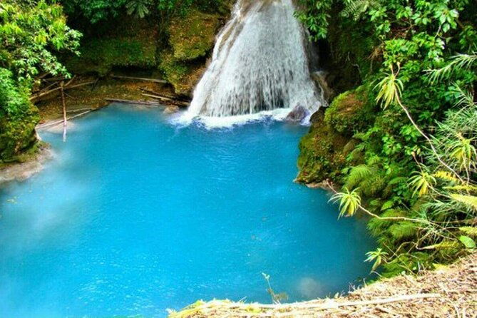 dunns-river-falls-and-blue-hole-private-tour-from-montego-bay