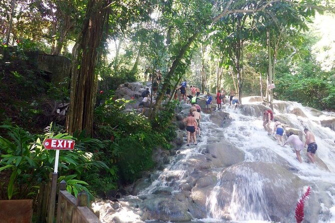dunns-river-falls-private-day-tour